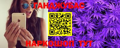 сатива Камышлов