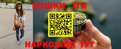 сатива Камышлов