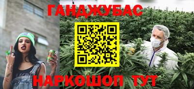 сатива Камышлов