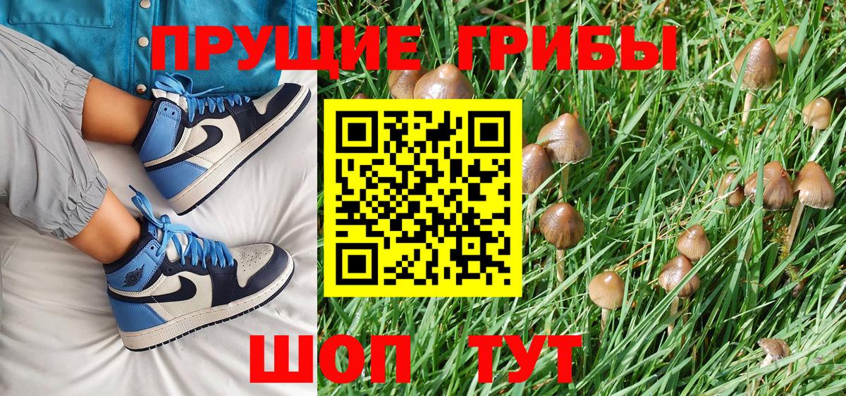 Луга  Псилоцибиновые грибы Magic Shrooms  Вход с VPN 